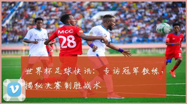 世界杯足球快讯：专访冠军教练，揭秘决赛制胜战术