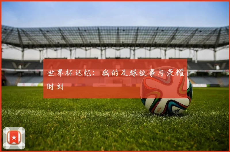 世界杯记忆:我的足球故事与荣耀时刻