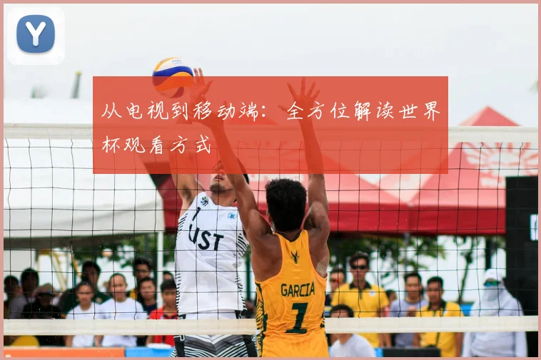 从电视到移动端：全方位解读世界杯观看方式