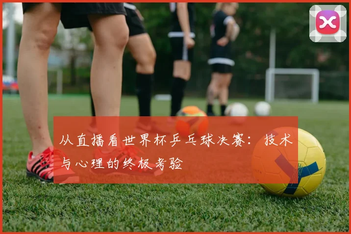 从直播看世界杯乒乓球决赛：技术与心理的终极考验