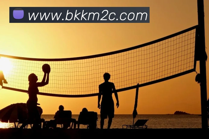 pg娱乐电子游戏官网最新版本发展历程